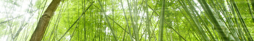 Our Toxicology Consultants assess the safety of chemicals and products.